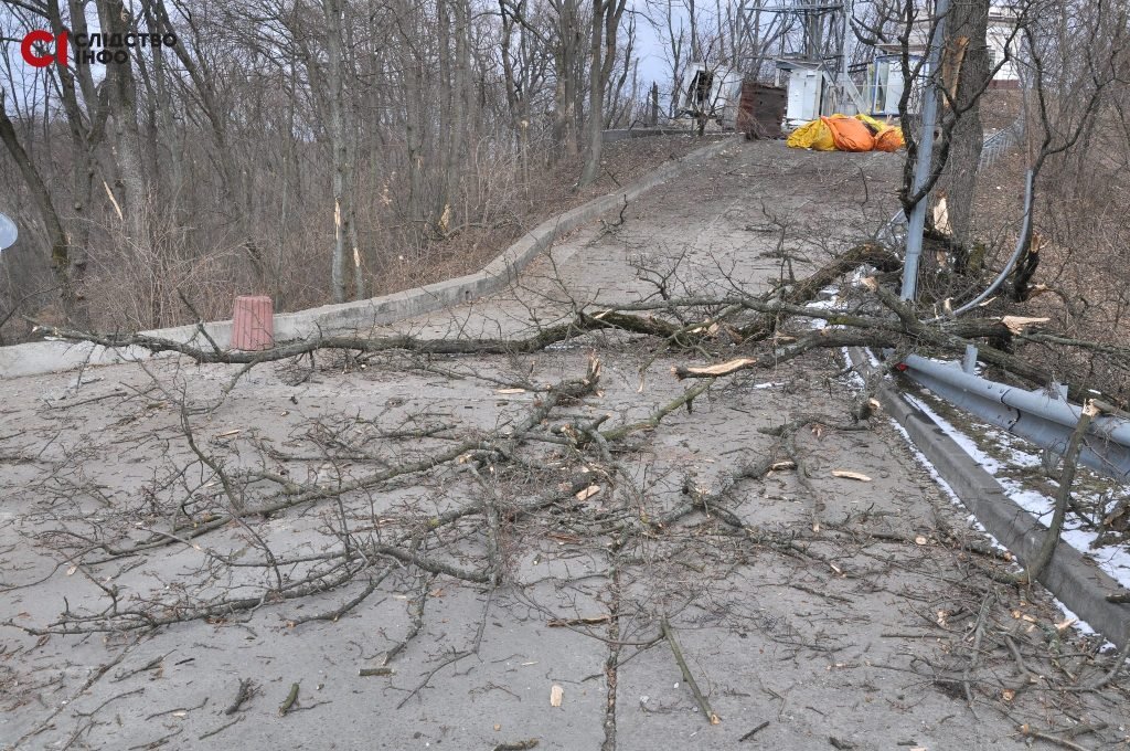 На Межигорье упало две бомбы: как живет парк и его обитатели во время войны 4
