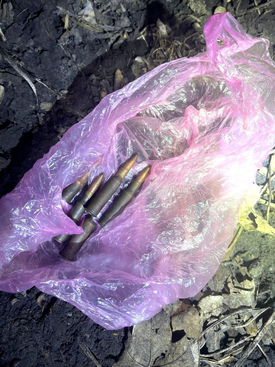 Под Киевом мужчина забил табуретом сожительницу до смерти, а потом застрелился 1