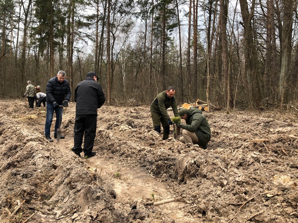 В Киеве посадили полгектара нового леса 1