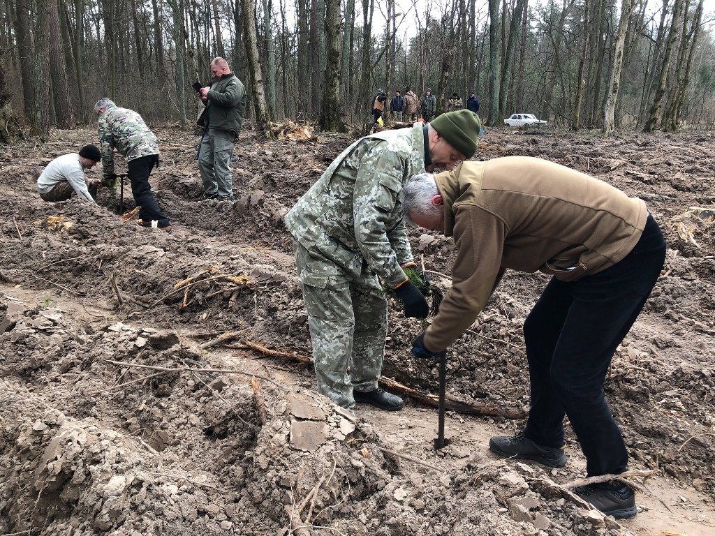 В Киеве посадили полгектара нового леса 2