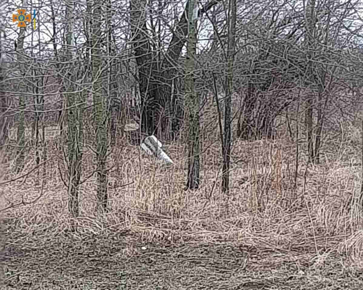 В Киевской области за последние сутки обнаружили и уничтожили несколько тысяч взрывоопасных предметов 2