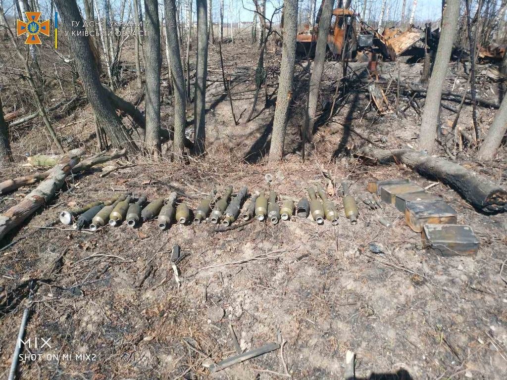 В Киевской области за последние сутки обнаружили и уничтожили несколько тысяч взрывоопасных предметов 17