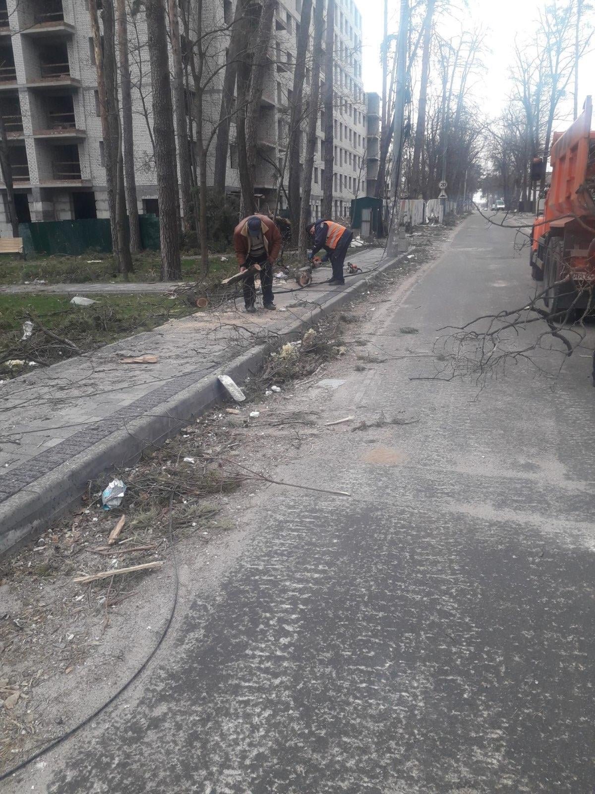 Маршрут Киев — Житомир откроют в ближайшее время 8