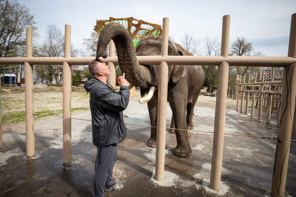 В Киевский зоопарк эвакуировали животных из Харькова: как сейчас чувствуют себя звери 2