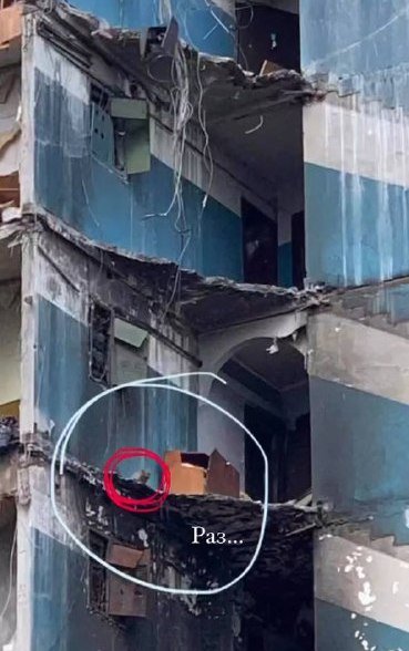 В Бородянке из разрушенного обстрелами дома спасли кота 1