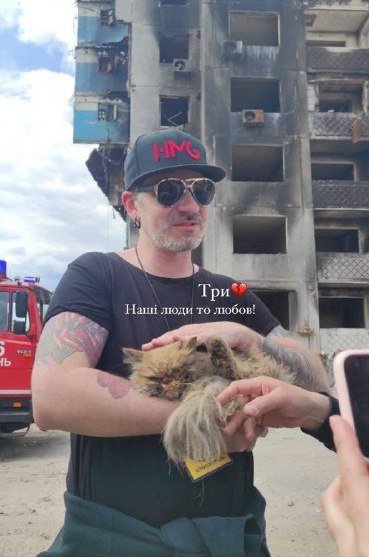 В Бородянке из разрушенного обстрелами дома спасли кота 3