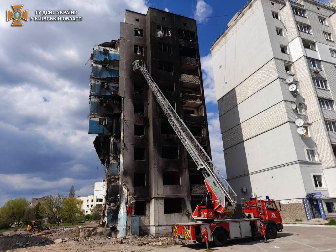 В Бородянке из разрушенного обстрелами дома спасли кота 4