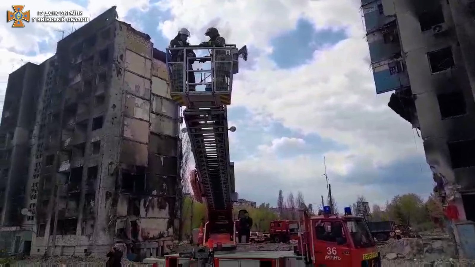 В Бородянке из разрушенного обстрелами дома спасли кота 6