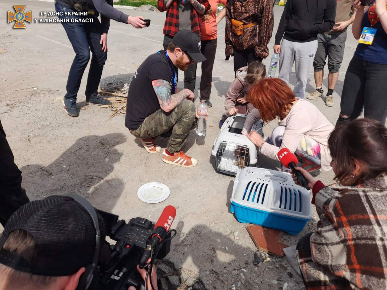 В Бородянке из разрушенного обстрелами дома спасли кота 7
