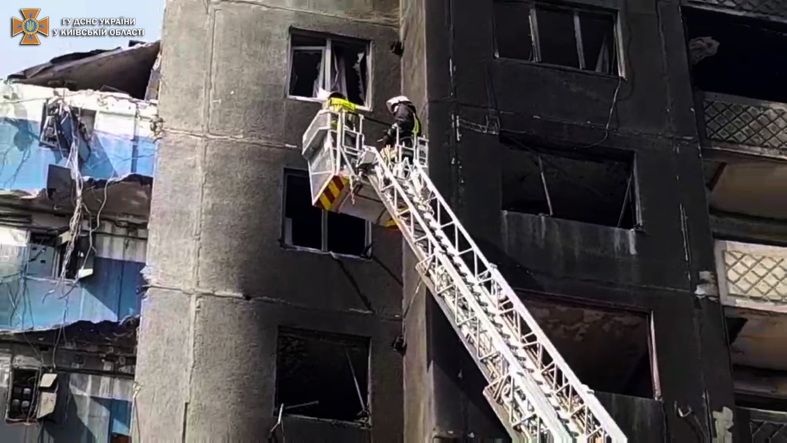 В Бородянке из разрушенного обстрелами дома спасли кота 8