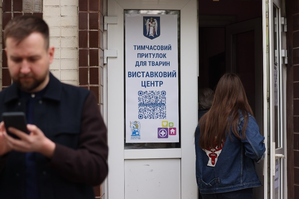 В Киеве на ВДНГ на время войны работает приют для животных 3