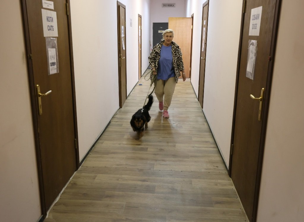 В Киеве на ВДНГ на время войны работает приют для животных 7