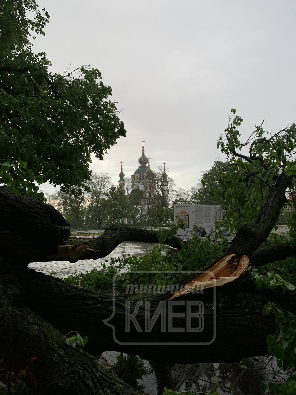 В Киеве продолжают ликвидировать последствия бури: часть города все еще без света. Фото и видео 1