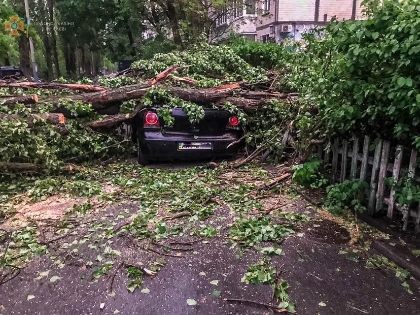 В Киеве продолжают ликвидировать последствия бури: часть города все еще без света. Фото и видео 7