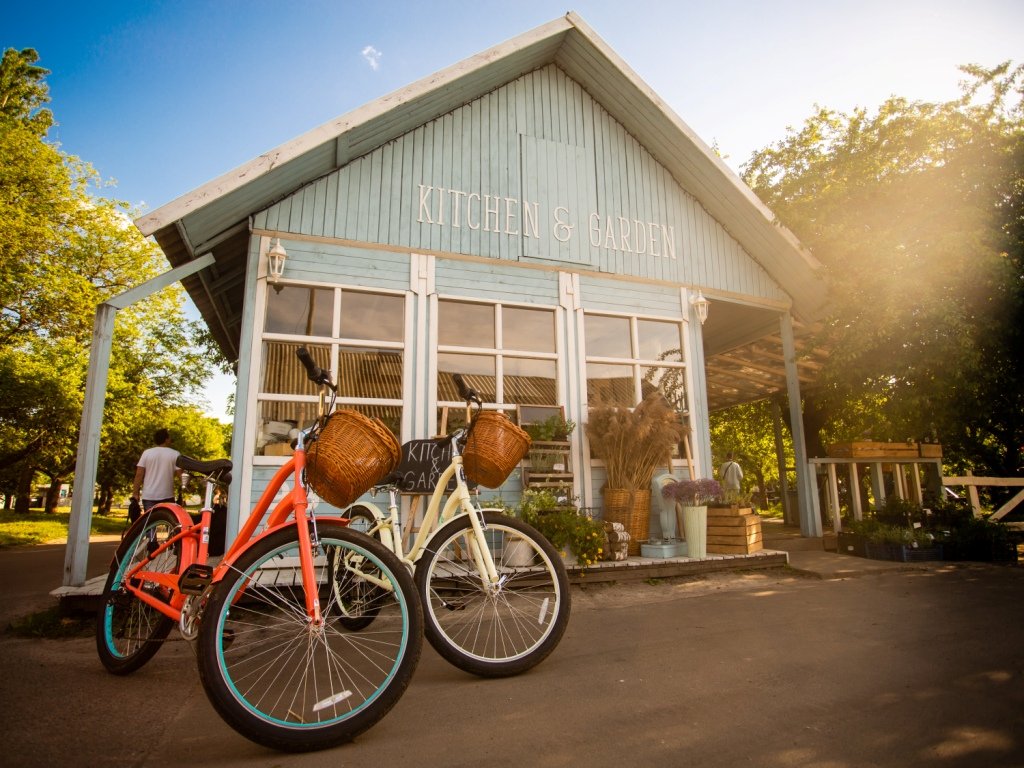 Лето на ВДНГ возвращается: какие локации восстановили работу, график и цены 5