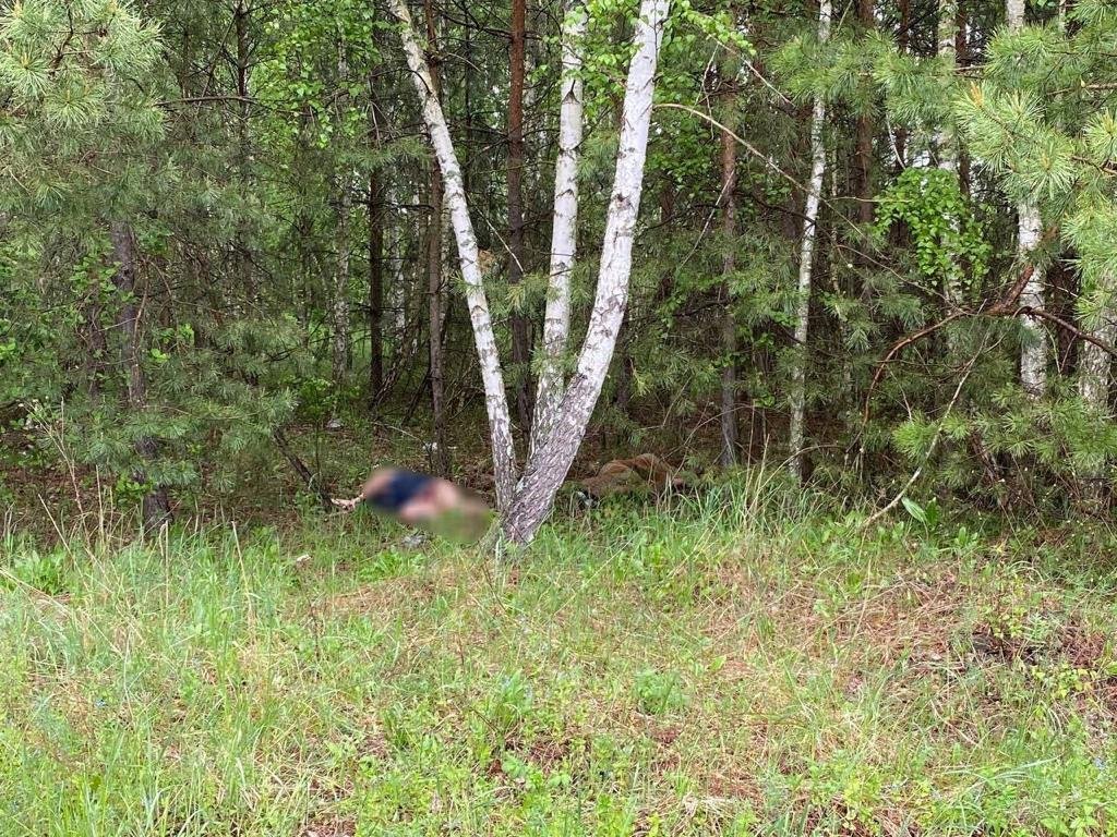 50 ударов ножами: под Киевом мужчина зарезал свою жену в посадке 2