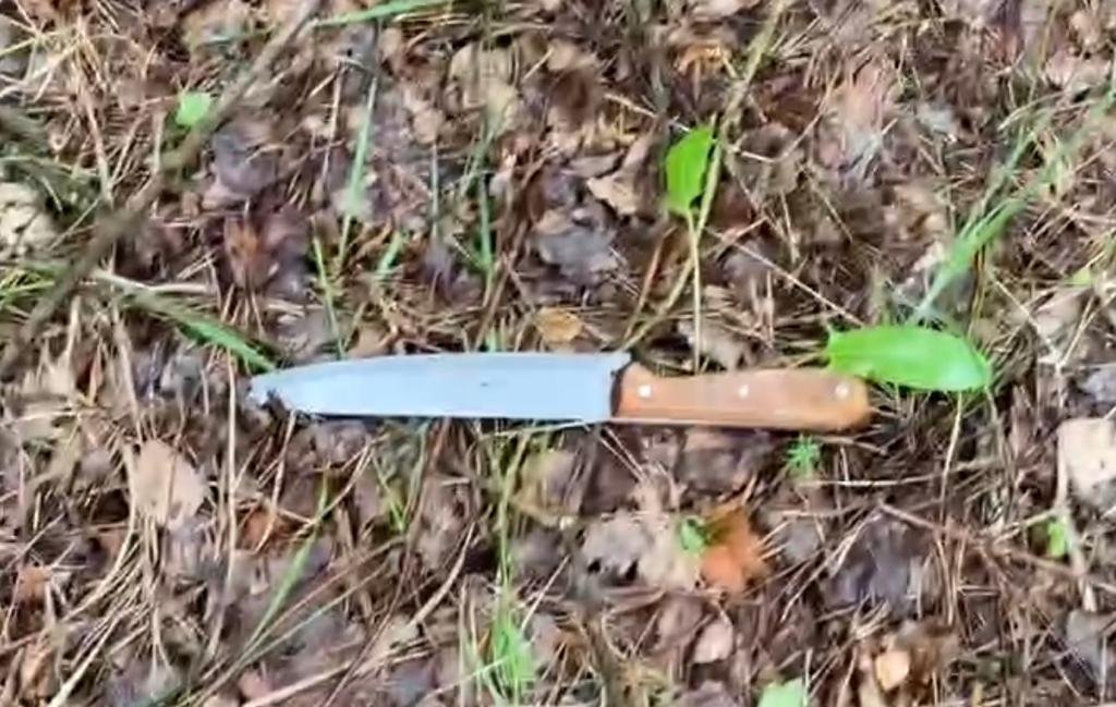 50 ударов ножами: под Киевом мужчина зарезал свою жену в посадке 3