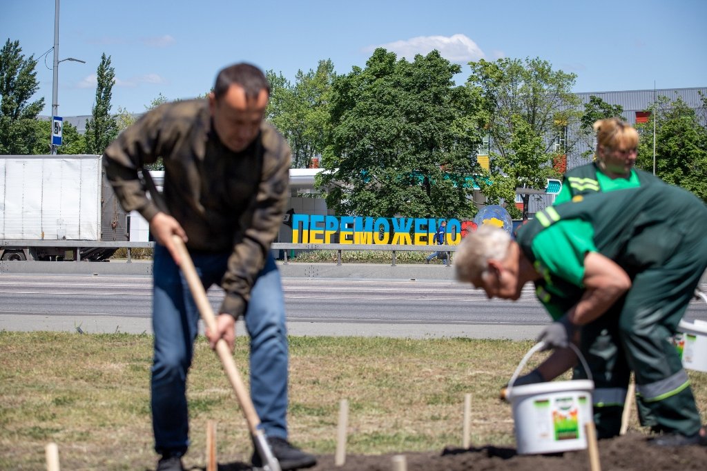 В Киеве высадили 5 тысяч лилий, подаренных Харьковом 6