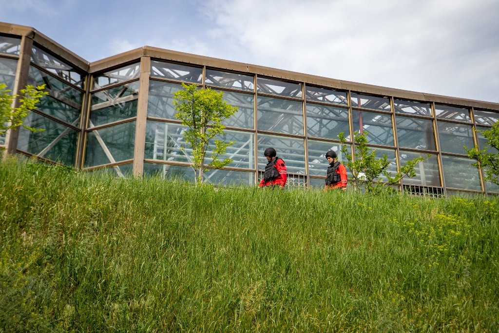 В Киеве взрывотехники обследуют ботанический сад Гришко: территория парка закрыта 2