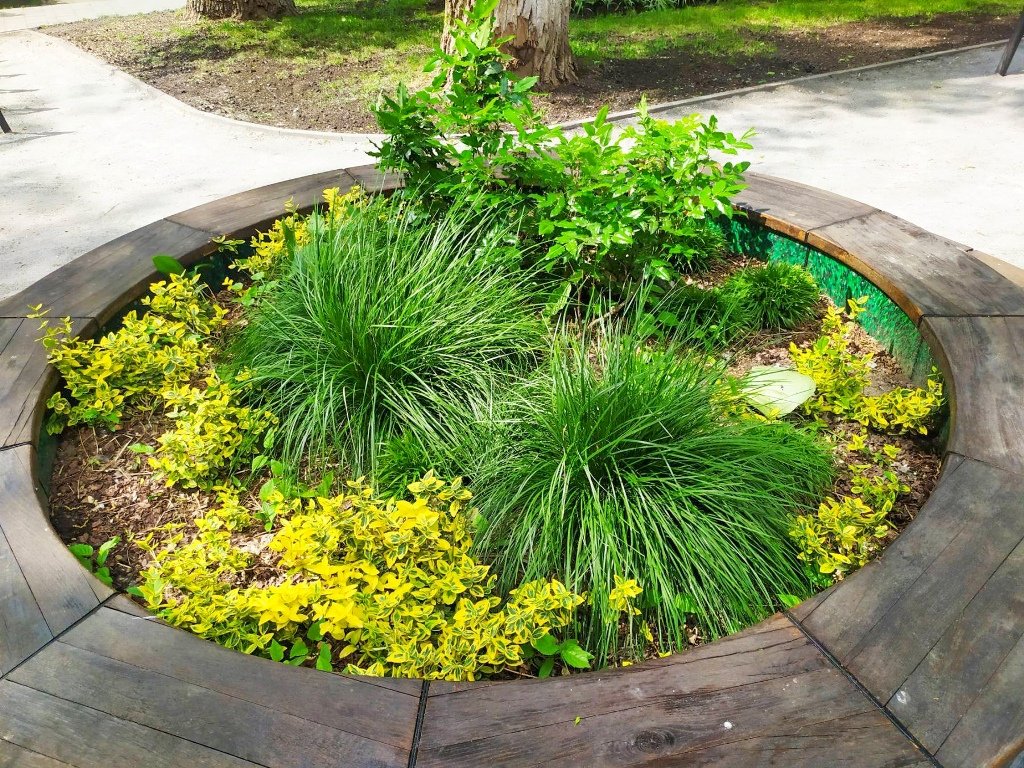 В Киеве отремонтировали Сквер киевских интеллигентов: как он сейчас выглядит 1