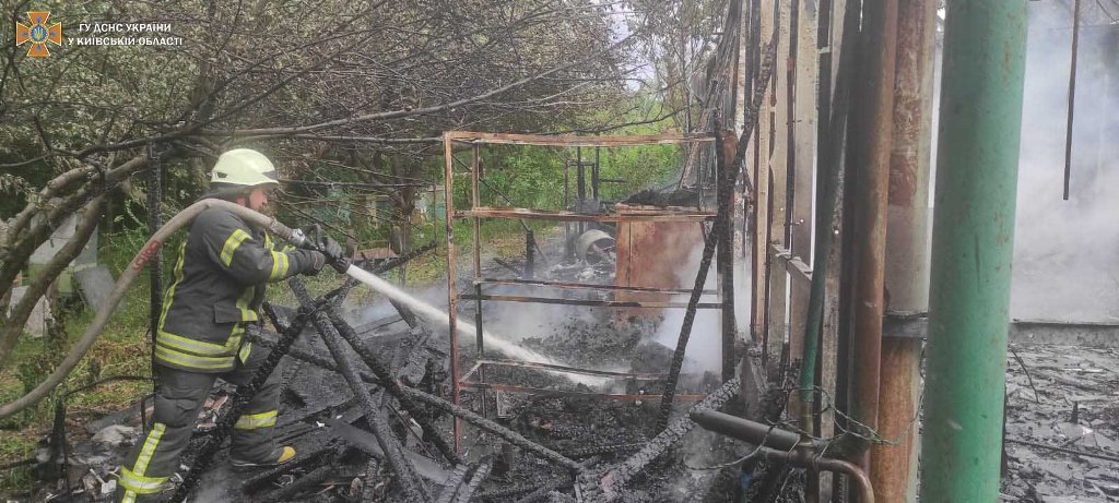 Под Киевом во время пожара в частном доме спасли пасеку 1