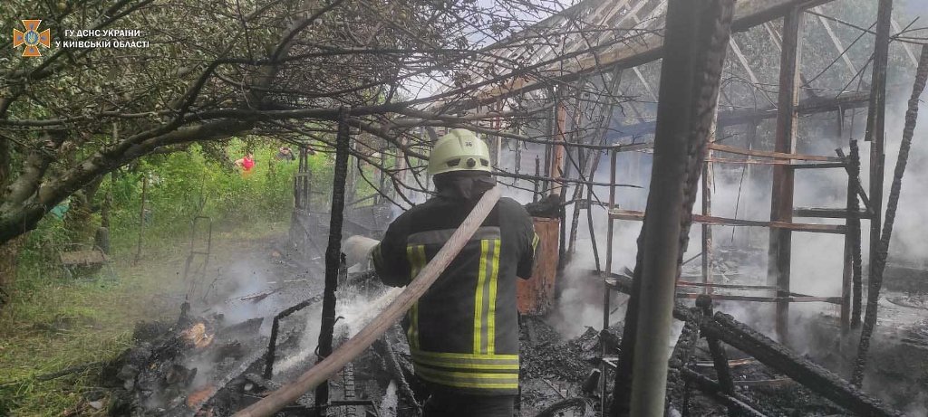 Под Киевом во время пожара в частном доме спасли пасеку 3