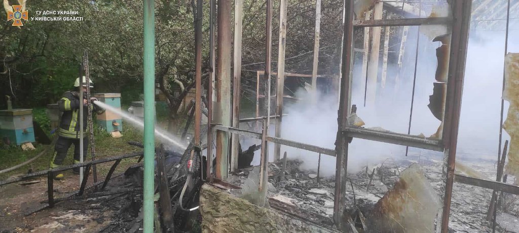 Под Киевом во время пожара в частном доме спасли пасеку 4