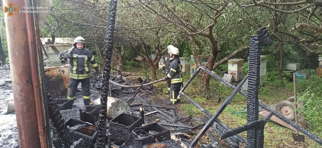 Под Киевом во время пожара в частном доме спасли пасеку 5