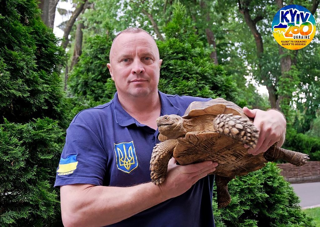 В Киевском зоопарке из вольеров вышли гигантские черепахи 4