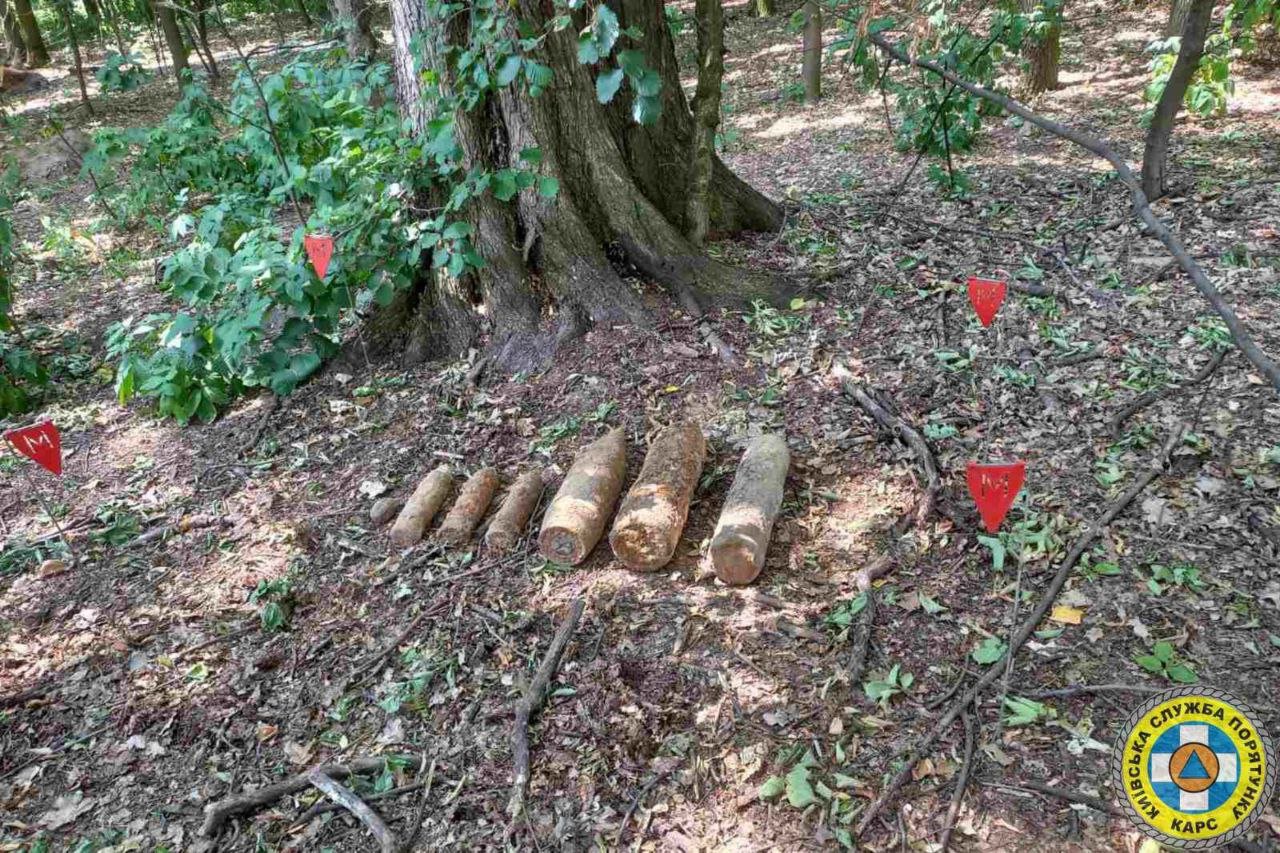 В Києві в ботсаду Гришка знайшли 6 снарядів та гранату 2