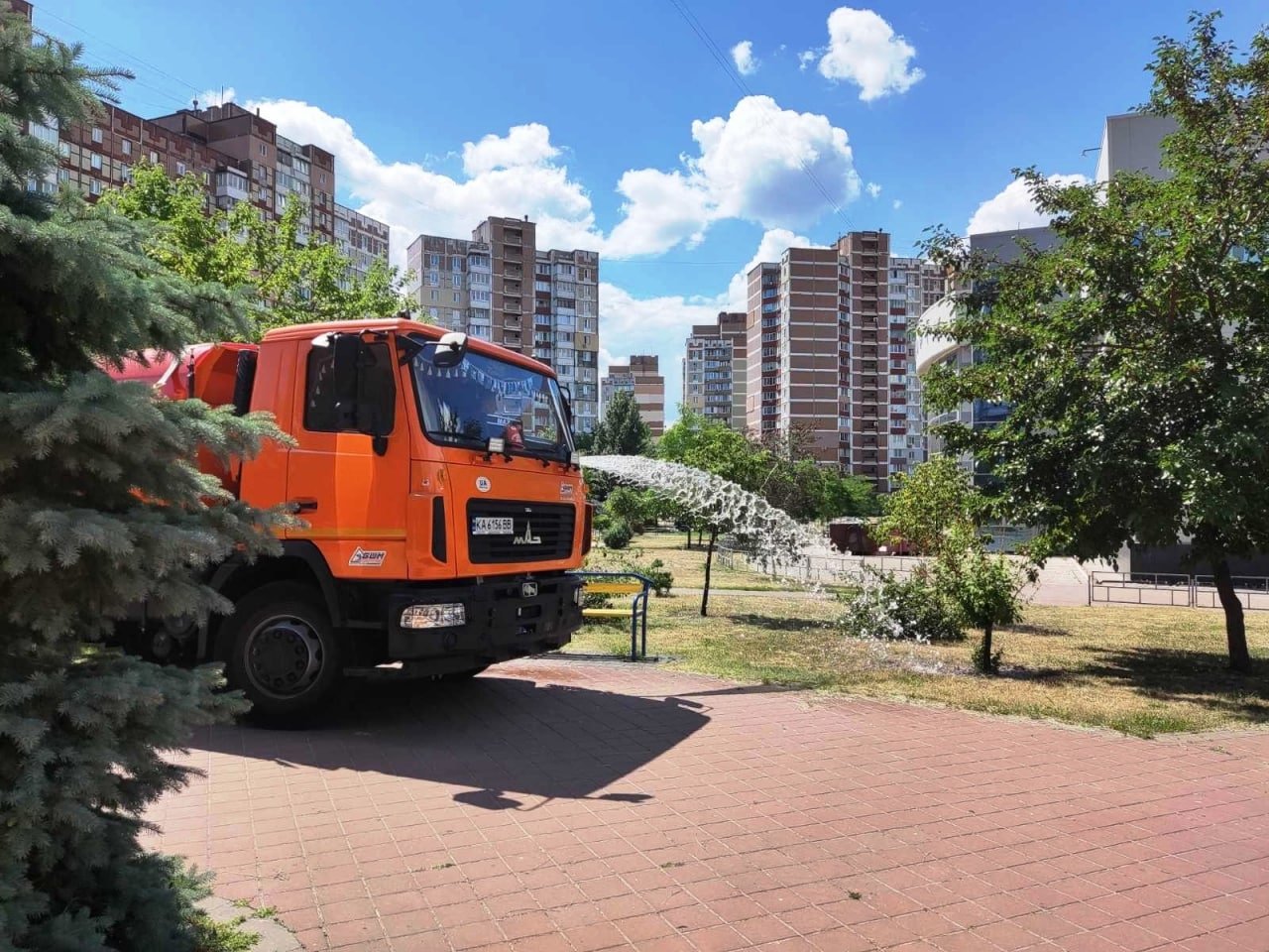 В Києві від спеки рятують молоді дерева та кущі 1