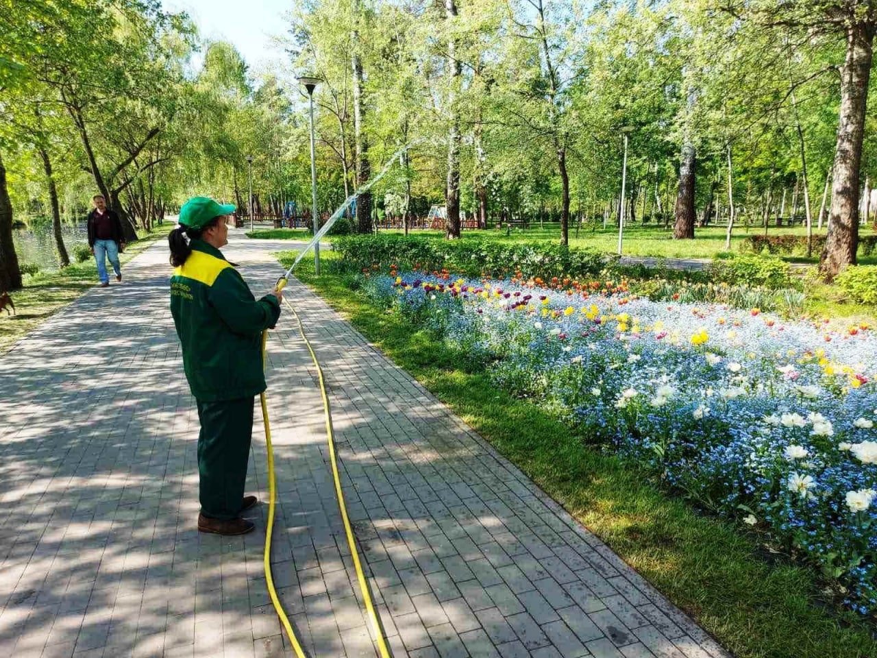 В Києві від спеки рятують молоді дерева та кущі 2