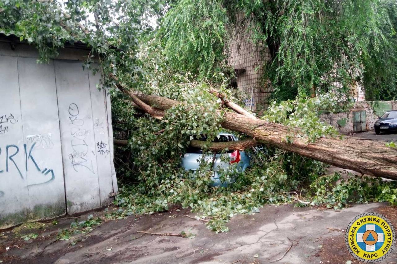 Зливи та гроза в Києві повалили дерева та затопили місто: де працюють рятувальники 4