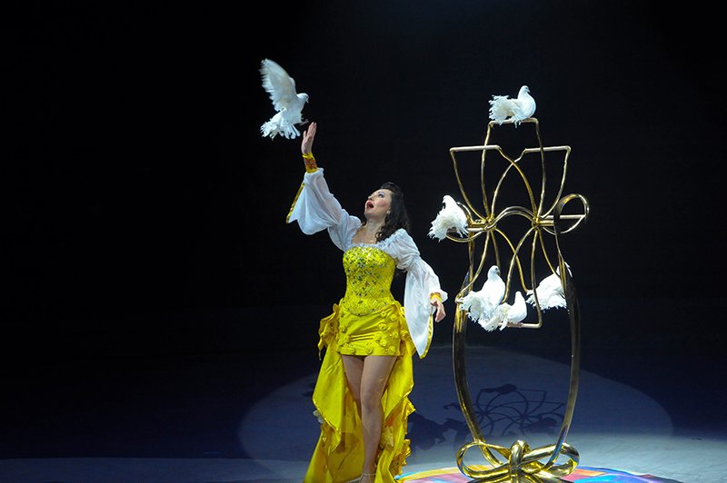 У Києві відновив роботу Національний цирк України з новою програмою "Врятовані тварини" 1