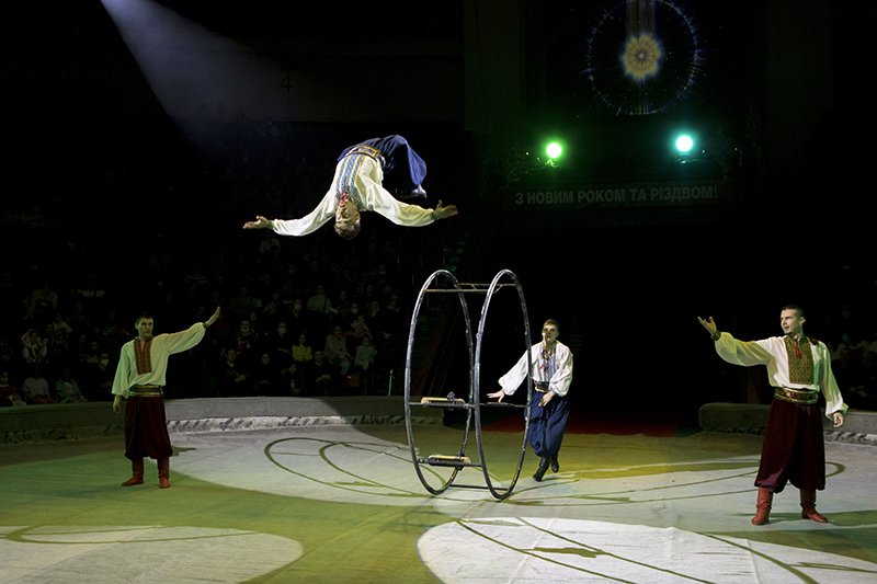У Києві відновив роботу Національний цирк України з новою програмою "Врятовані тварини" 2