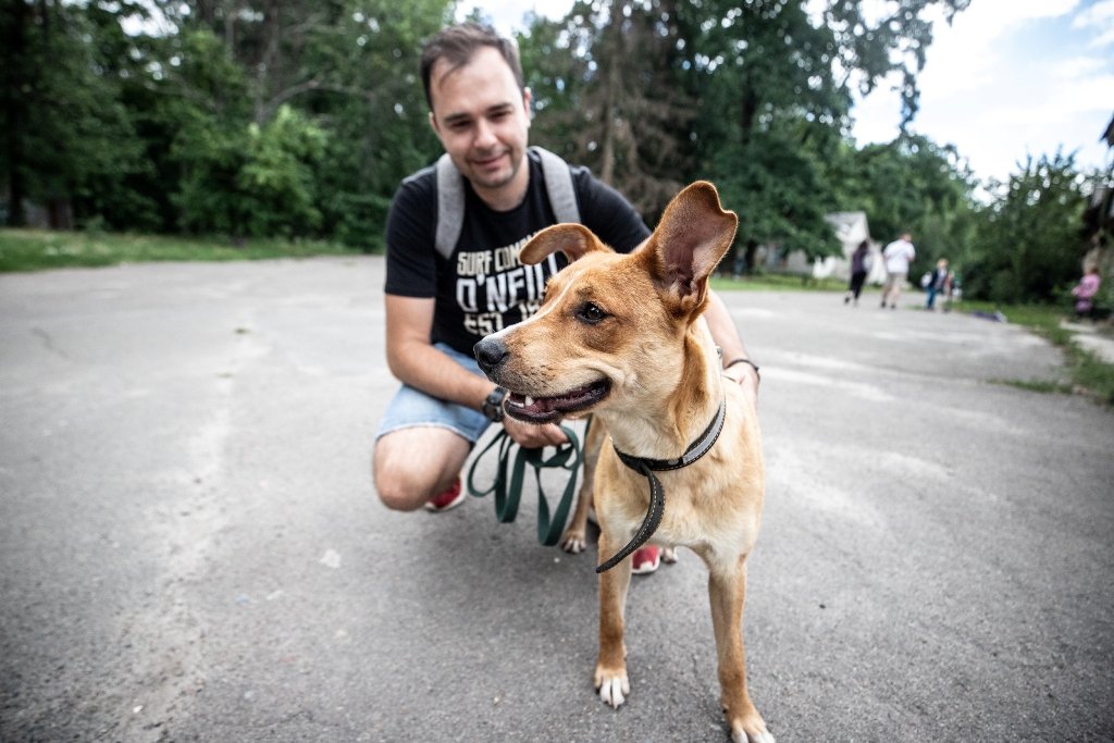 У Києві під час Дня відкритих дверей з притулку забрали 11 тварин: фото 8