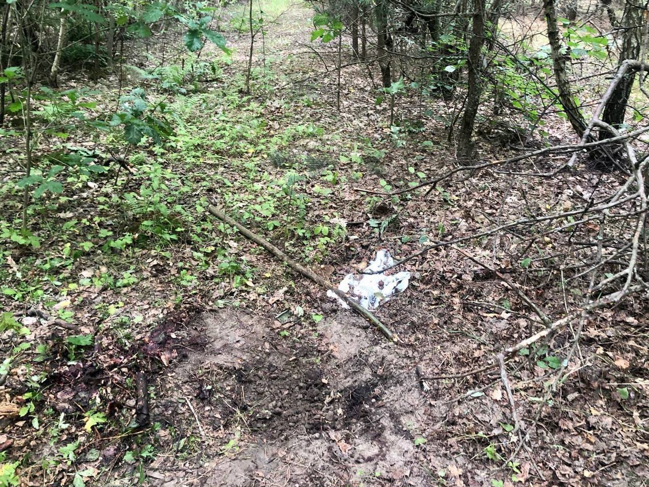 Під Києвом жінка пішла до лісу і підірвалась на міні 3