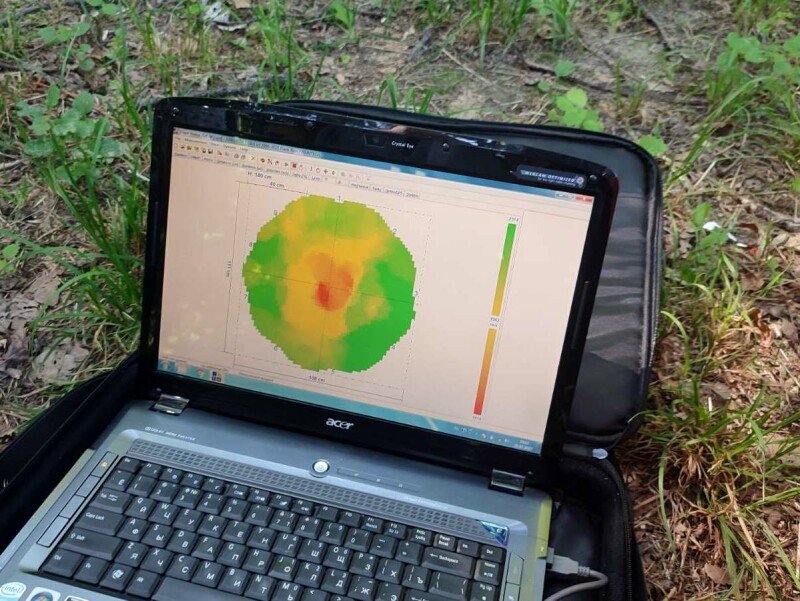 У Києві у парку Нивки пролікували вікові дуби: фото 1