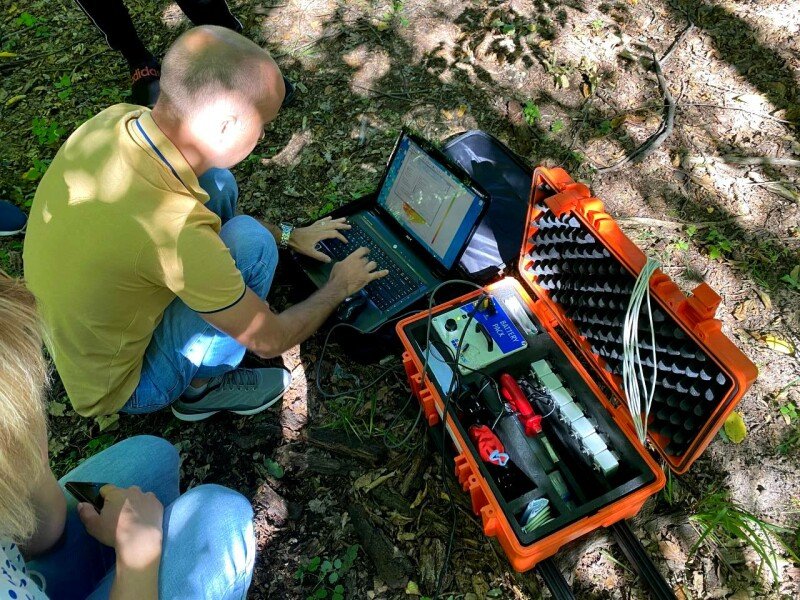 У Києві у парку Нивки пролікували вікові дуби: фото 5