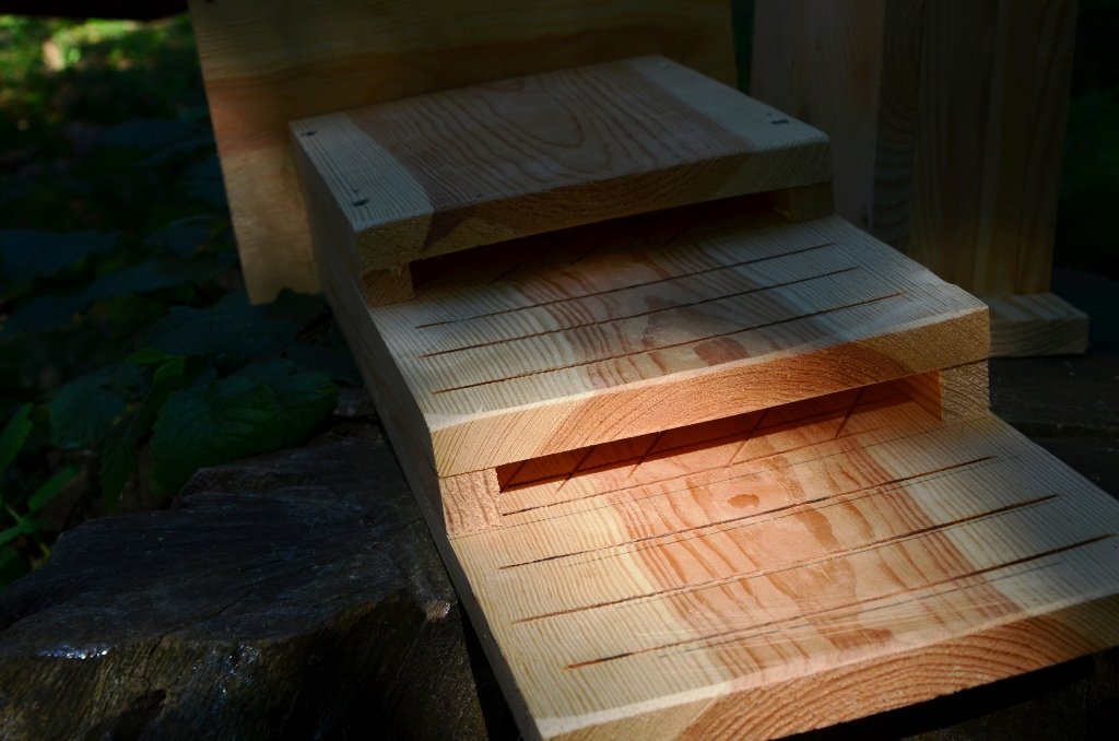 У Києві в одному з парків встановили будиночки для кажанів 1