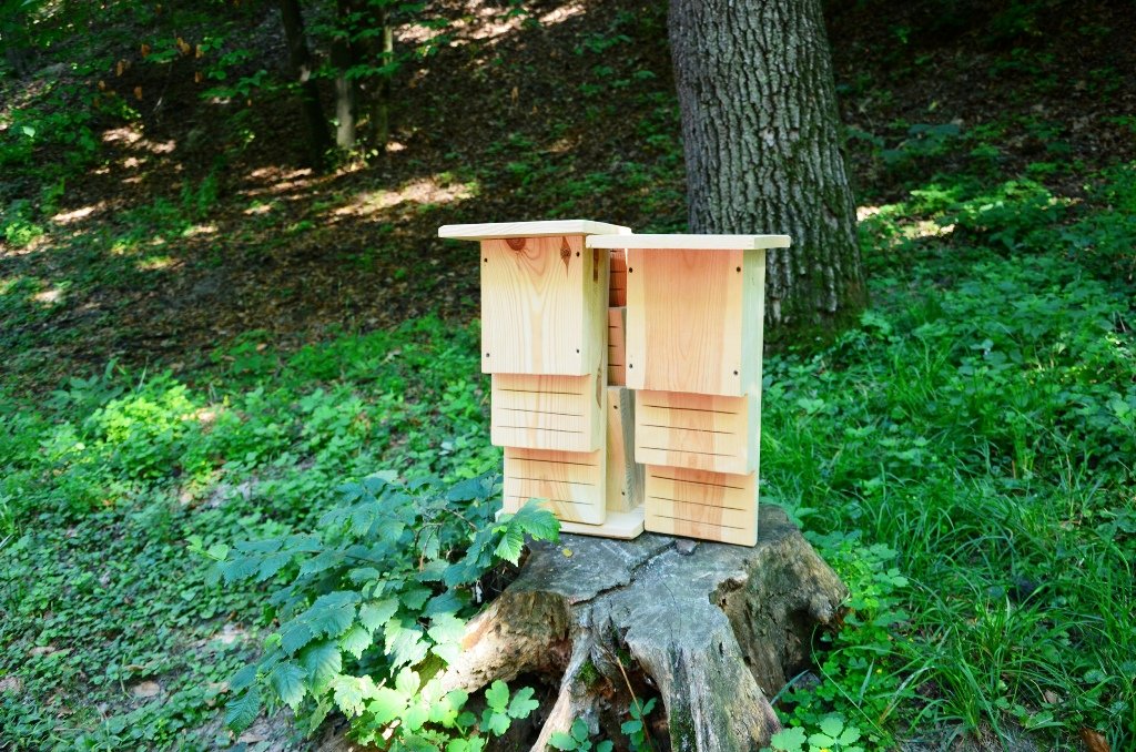 У Києві в одному з парків встановили будиночки для кажанів 3