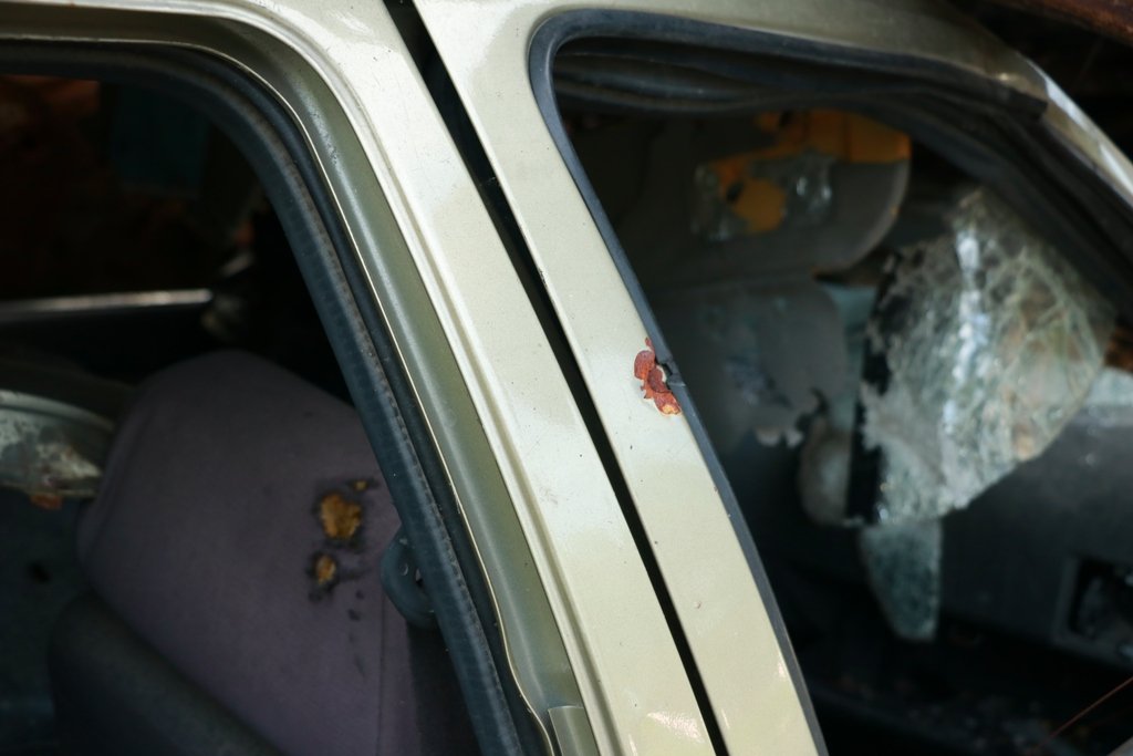 Як виглядає зараз кладовище автівок в Ірпені і хто намалював на них соняхи 12