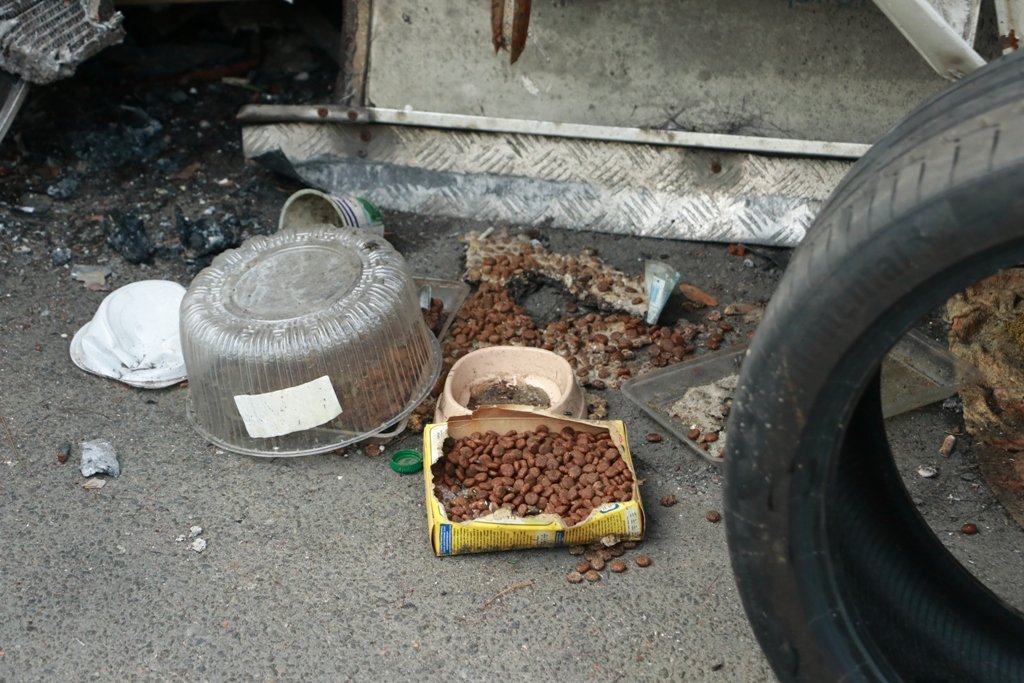 Як виглядає зараз кладовище автівок в Ірпені і хто намалював на них соняхи 15