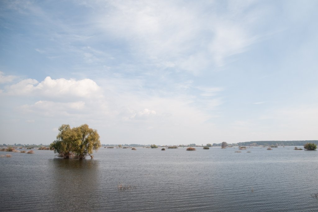 Тут раніше було поле