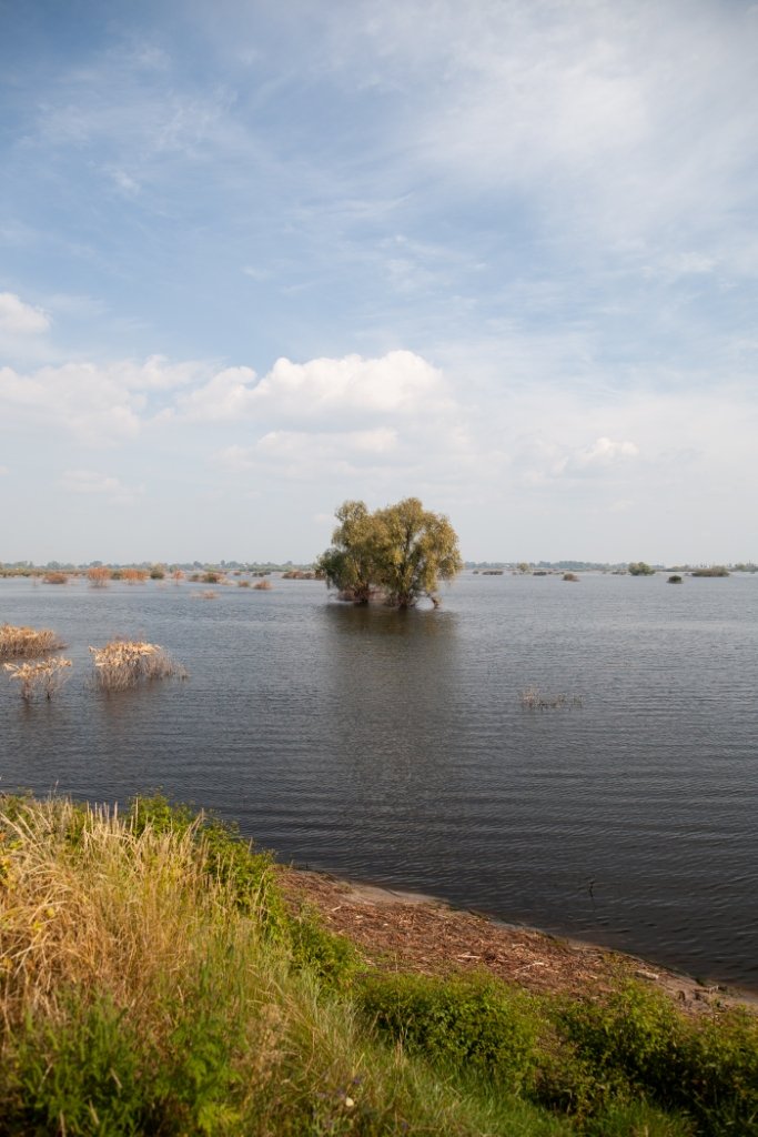 По різнім даним, у селі затопило півсотні будинків
