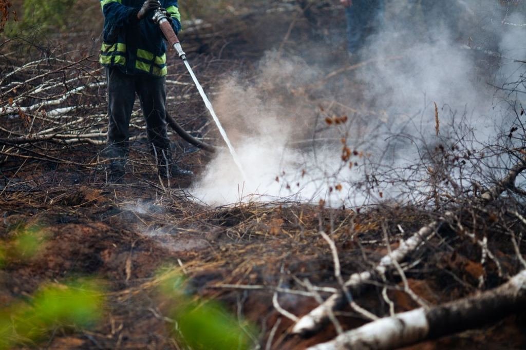 Як виглядає горіння торфу на Київщині, через яке вже тиждень столиця потерпає від смогу 1