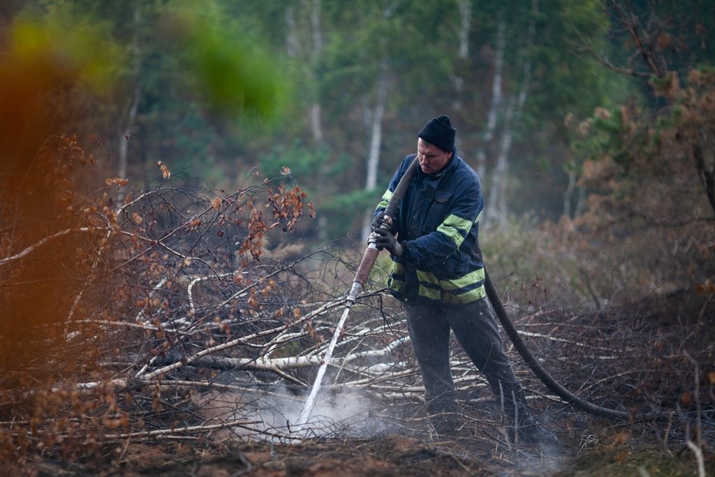 Як виглядає горіння торфу на Київщині, через яке вже тиждень столиця потерпає від смогу 5