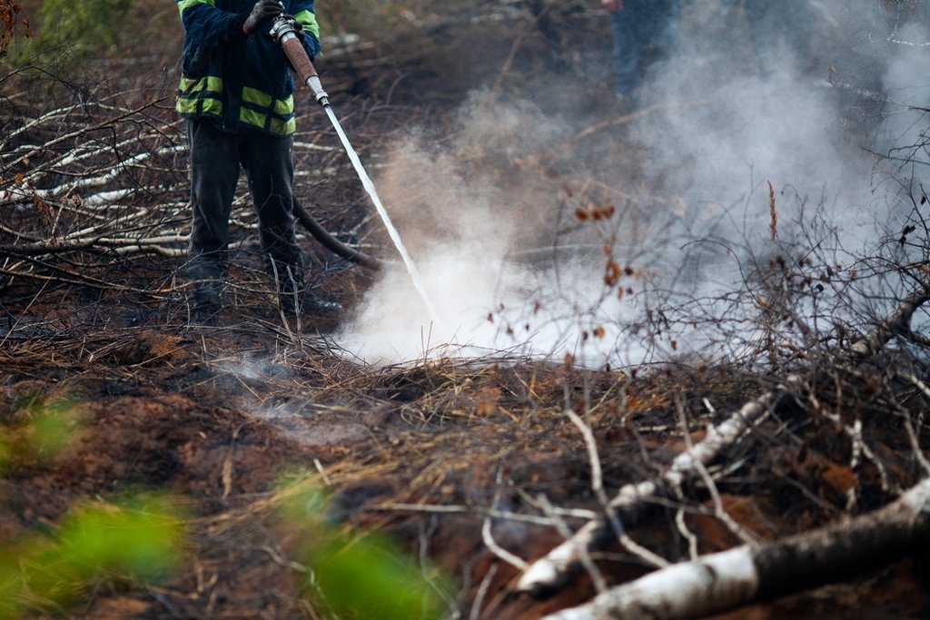 Як виглядає горіння торфу на Київщині, через яке вже тиждень столиця потерпає від смогу 6