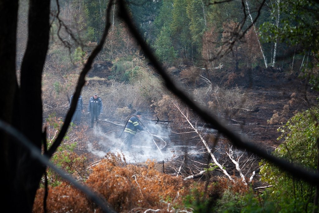 Як виглядає горіння торфу на Київщині, через яке вже тиждень столиця потерпає від смогу 8