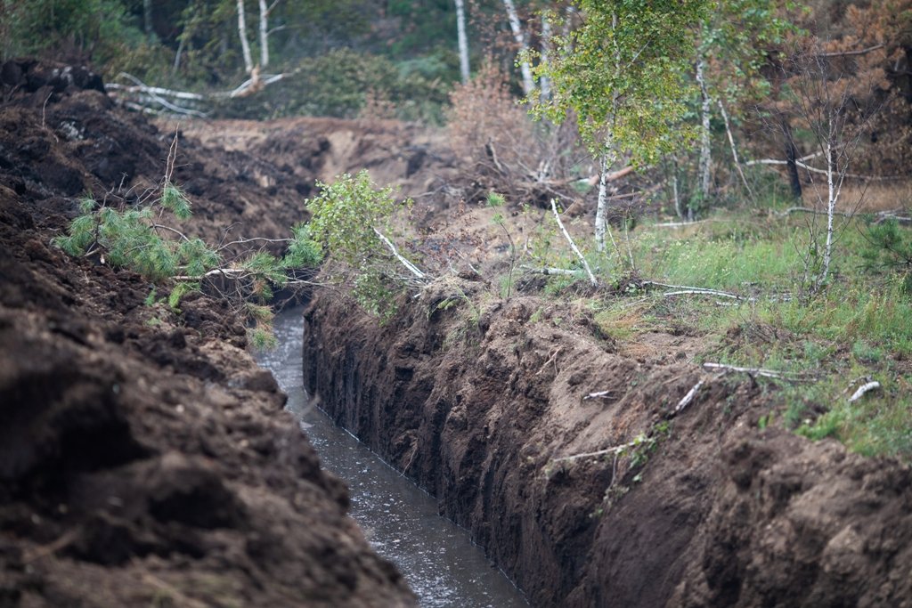 Як виглядає горіння торфу на Київщині, через яке вже тиждень столиця потерпає від смогу 10